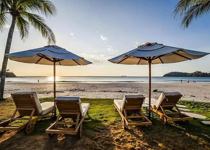 Palms 14 Luxury Beachfront Villa *